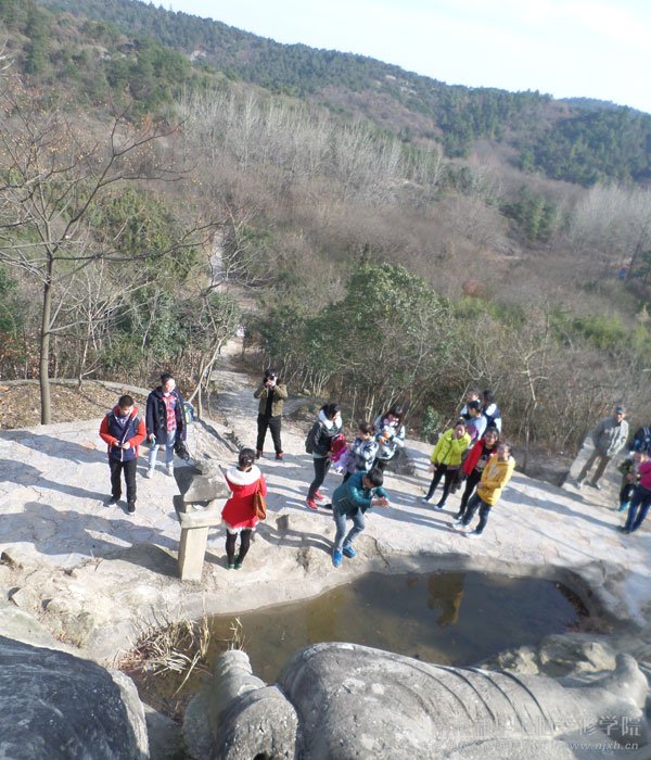 蓝天、白云、山间溪流、茶树园……踏一路风景,撒一路欢笑
