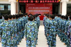 Ĵͨ2015һѵ켯