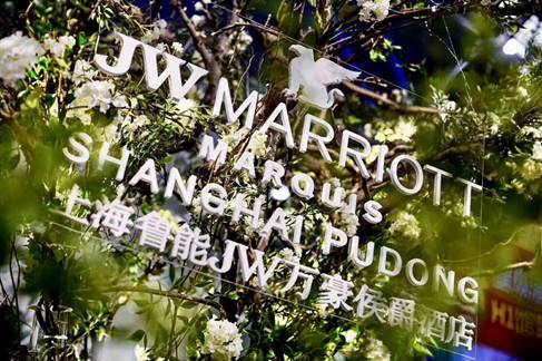 Ϻ³JWƵꡰ